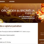 Őszi Orchidea és Bromélia Fesztivál 2014