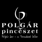 villany-polgar-pince-logo